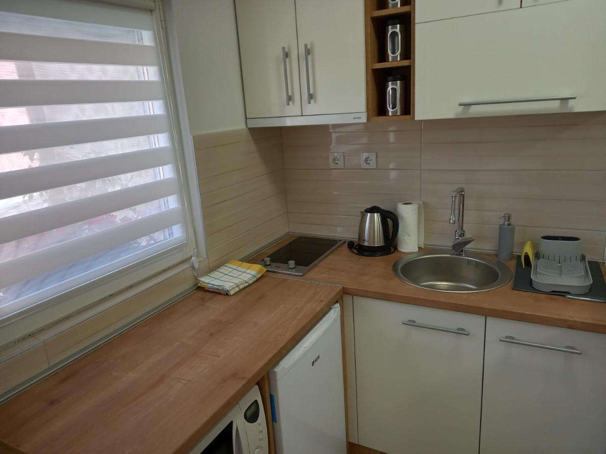 Apartment Leda